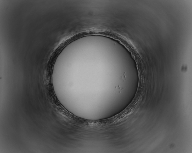 X0000101951160200807171126