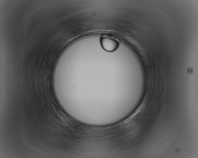 X0000101951161200807171126