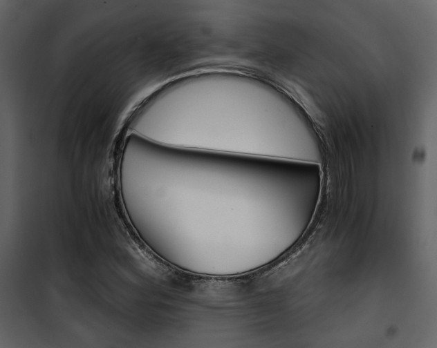 X0000101951164200807171126