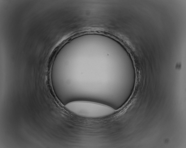 X0000101951165200807171126