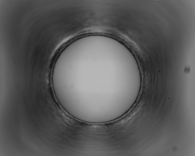 X0000101951166200807171126