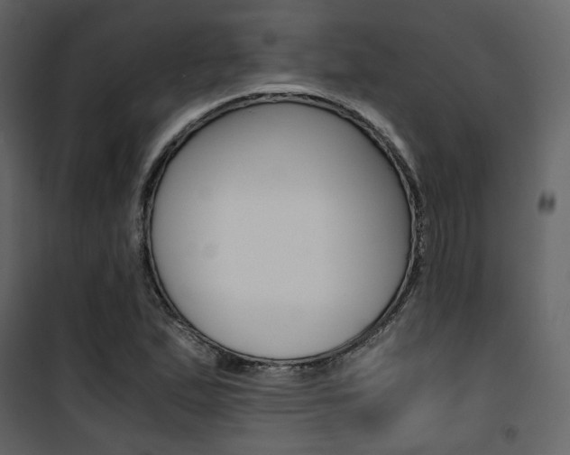 X0000101951167200807171126