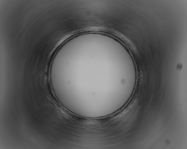 X0000101951170200807171126