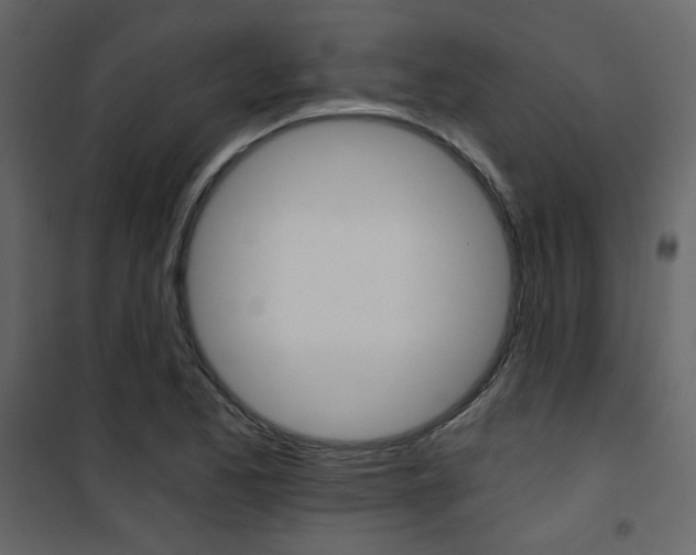 X0000101951173200807171126