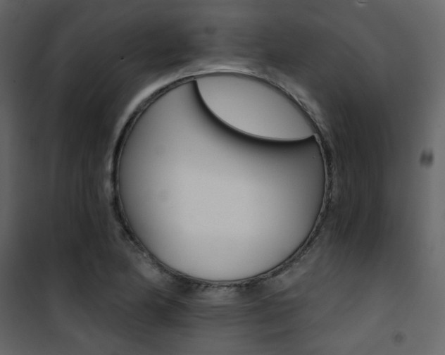 X0000101951174200807171126