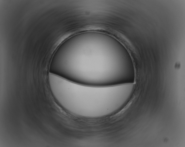 X0000101951177200807171126