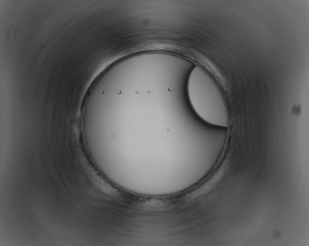 X0000101951178200807171126