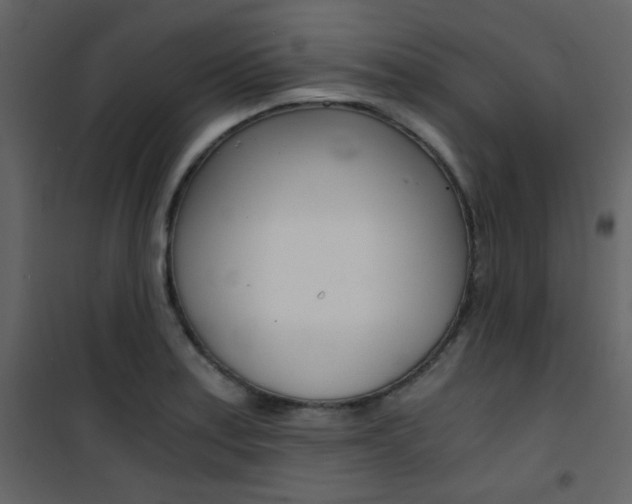 X0000101951179200807171126