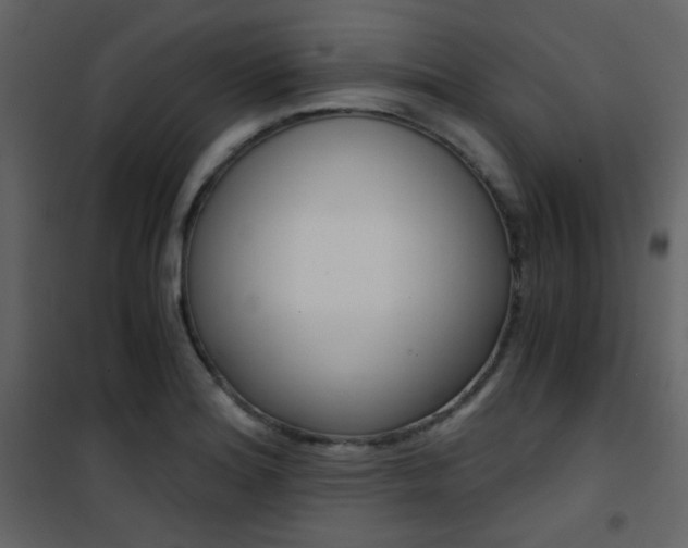 X0000101951180200807171126