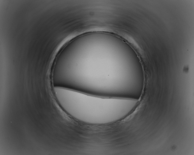 X0000101951181200807171126