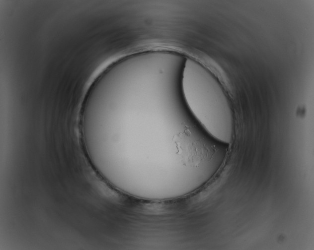 X0000101951182200807171126