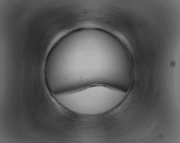 X0000101951183200807171126
