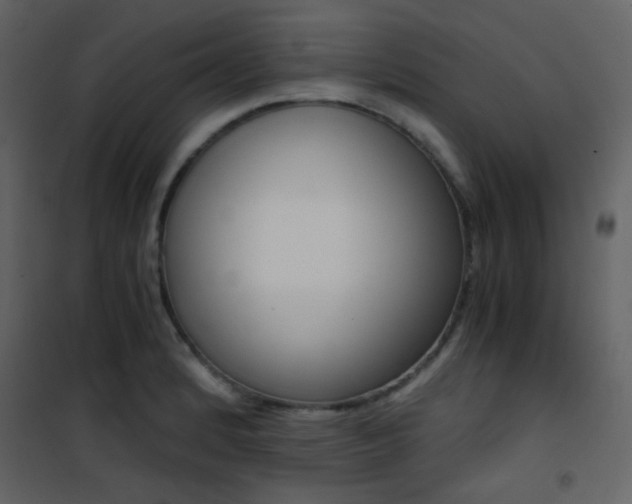 X0000101951184200807171126