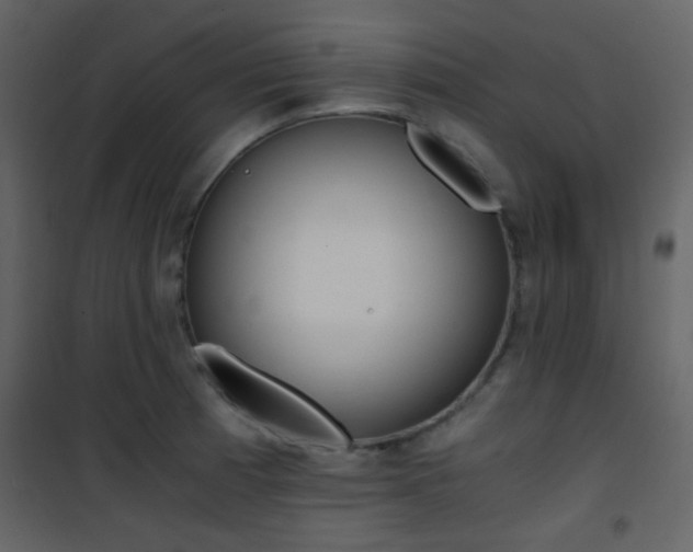 X0000101951185200807171126