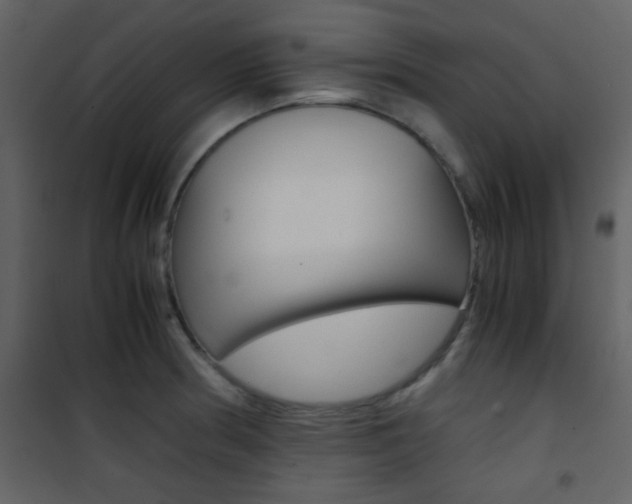 X0000101951186200807171126