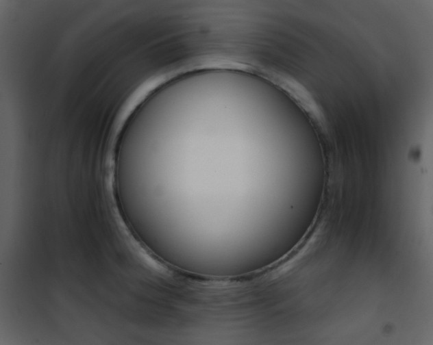 X0000101951188200807171126