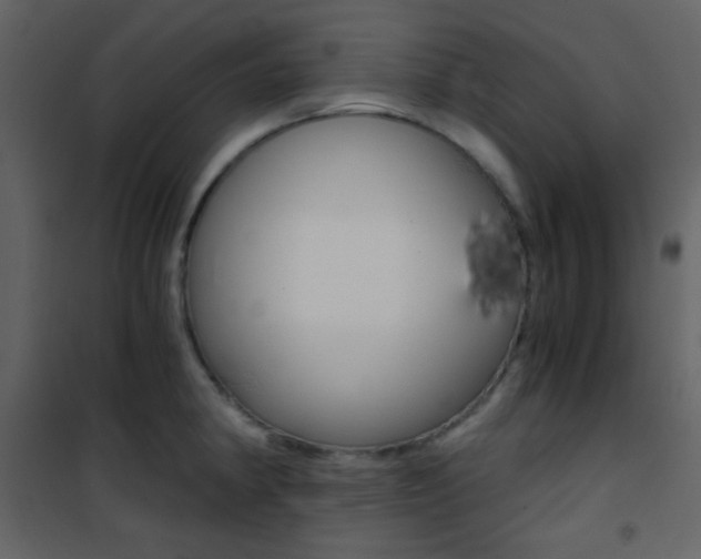 X0000101951190200807171126