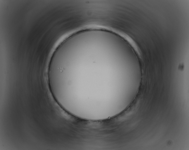X0000101951191200807171126