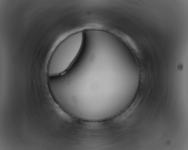 X0000101951192200807171126