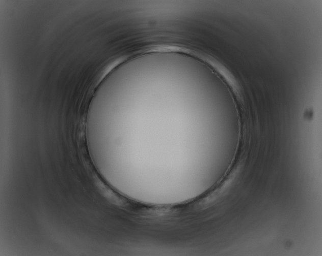 X0000101951193200807171126