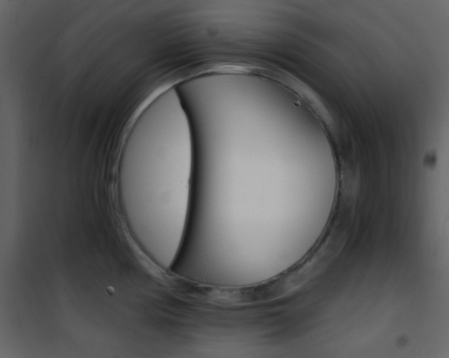 X0000101951194200807171126