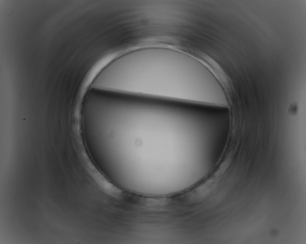 X0000101951196200807171126