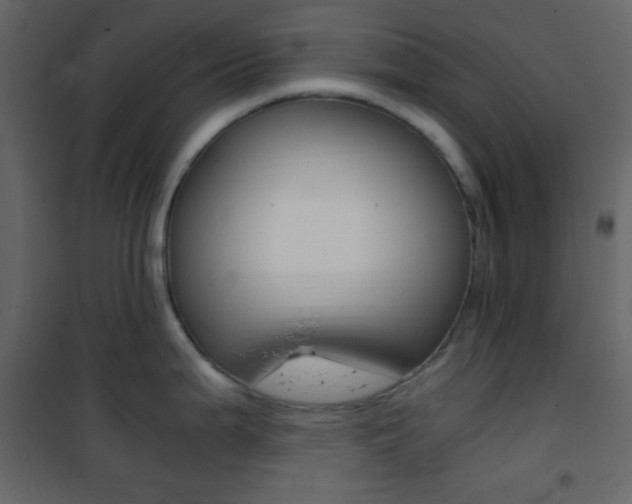 X0000101951199200807171126