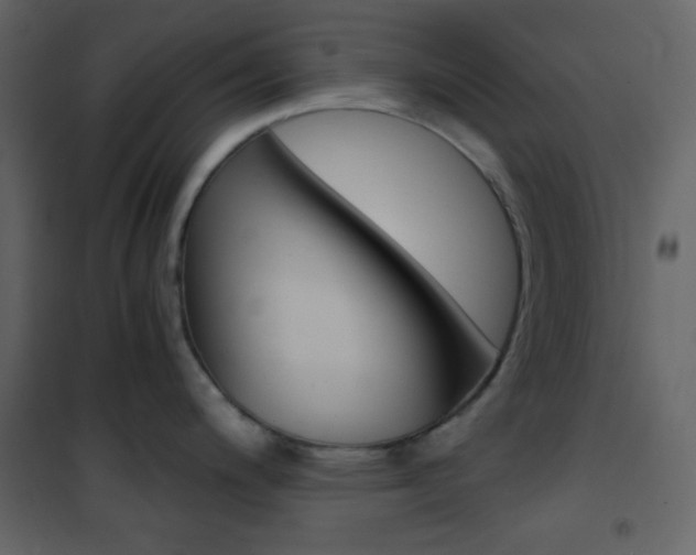 X0000101951200200807171126