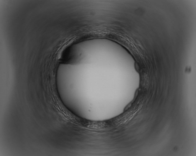 X0000101951201200807171125