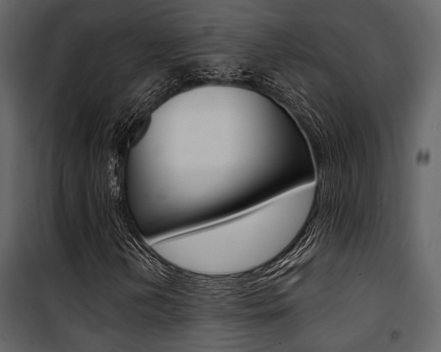 X0000101951202200807171125