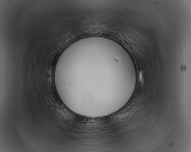 X0000101951203200807171125