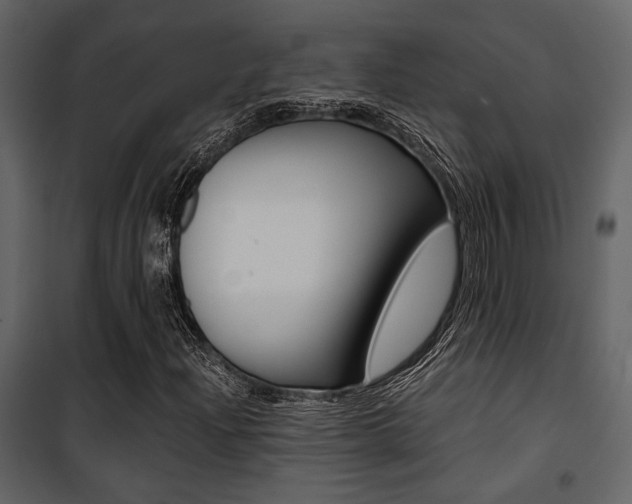 X0000101951204200807171125