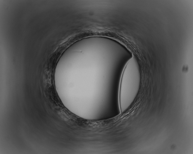 X0000101951205200807171125