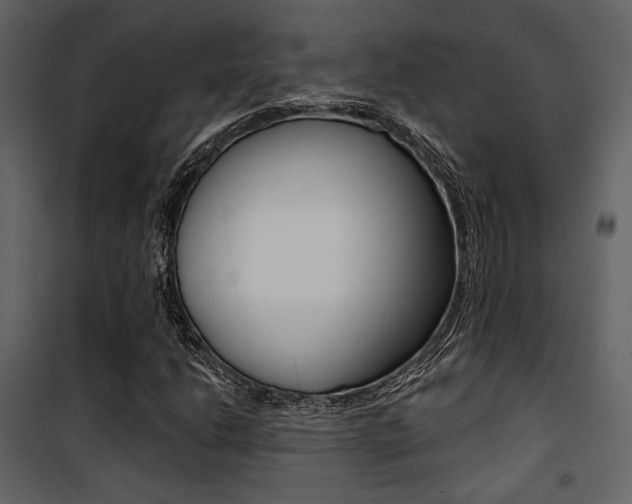X0000101951206200807171125