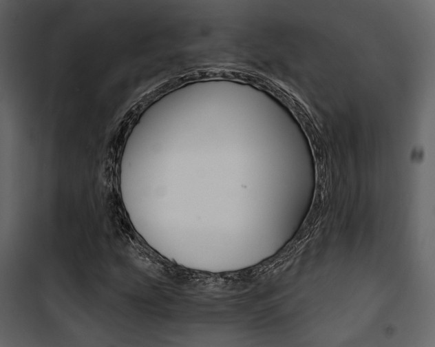 X0000101951207200807171125