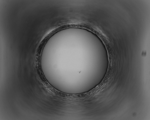 X0000101951208200807171125