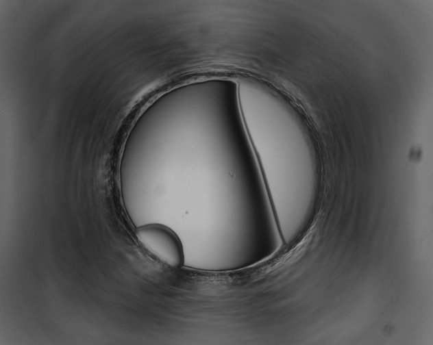 X0000101951210200807171125