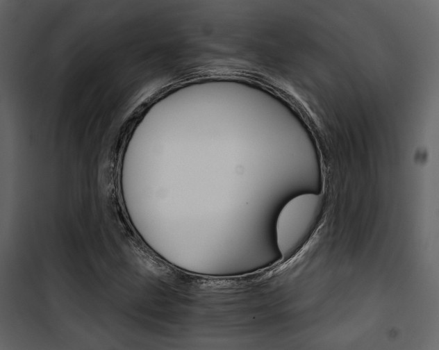 X0000101951211200807171125