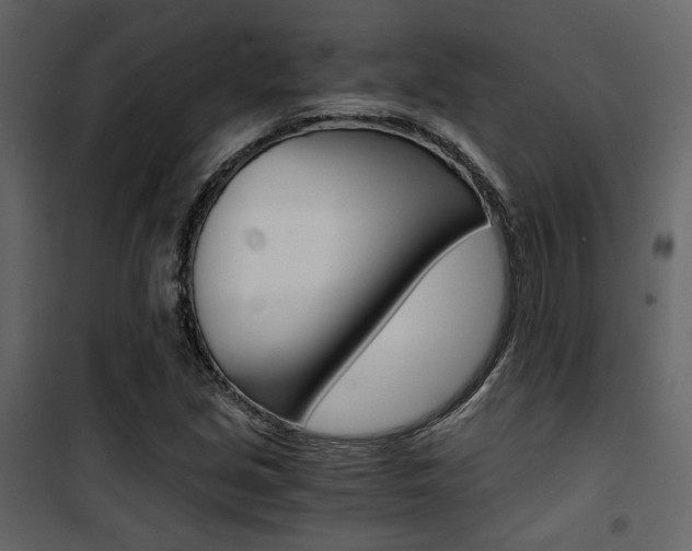 X0000101951213200807171125