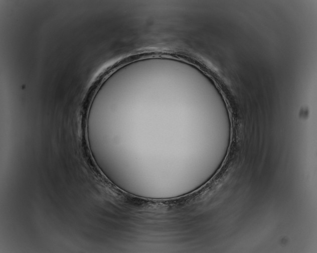 X0000101951214200807171125