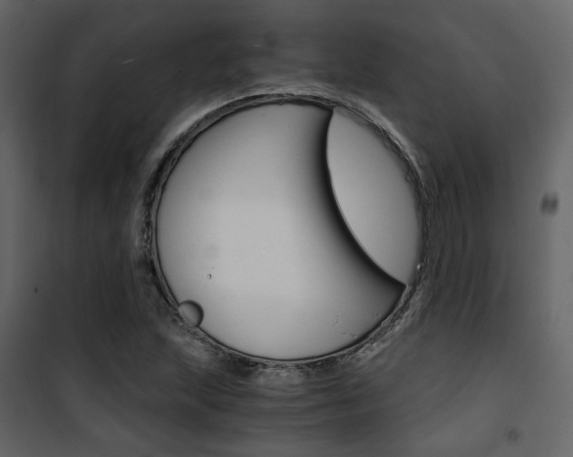 X0000101951215200807171125