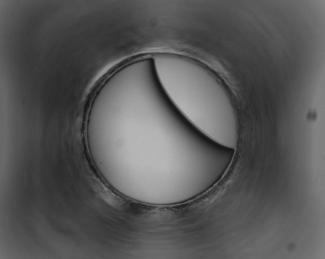 X0000101951216200807171125