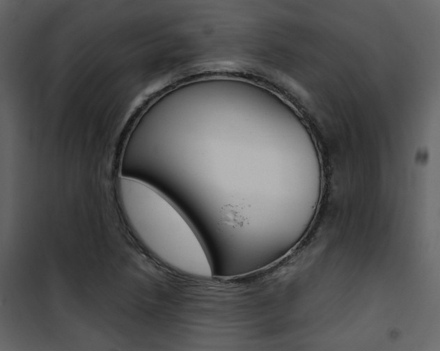 X0000101951218200807171125