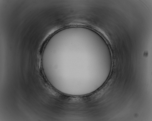 X0000101951219200807171125