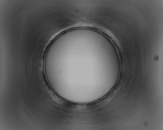 X0000101951220200807171125