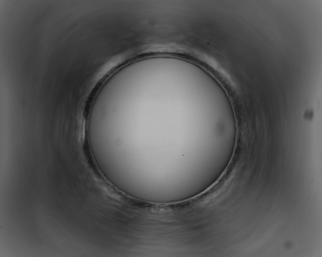X0000101951221200807171125