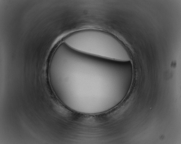 X0000101951222200807171125
