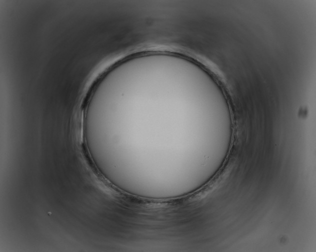X0000101951223200807171126