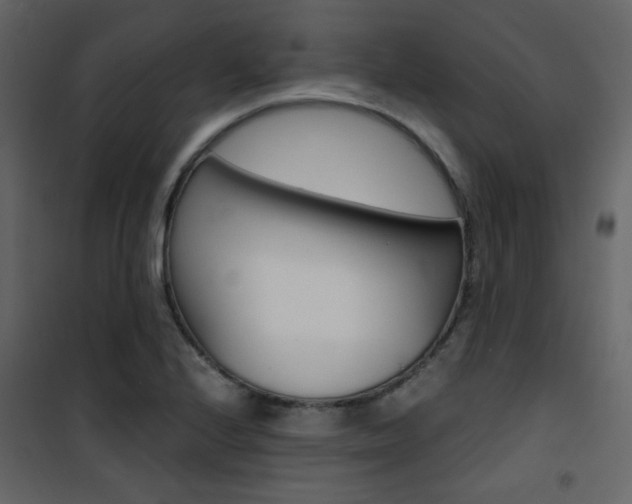 X0000101951224200807171126