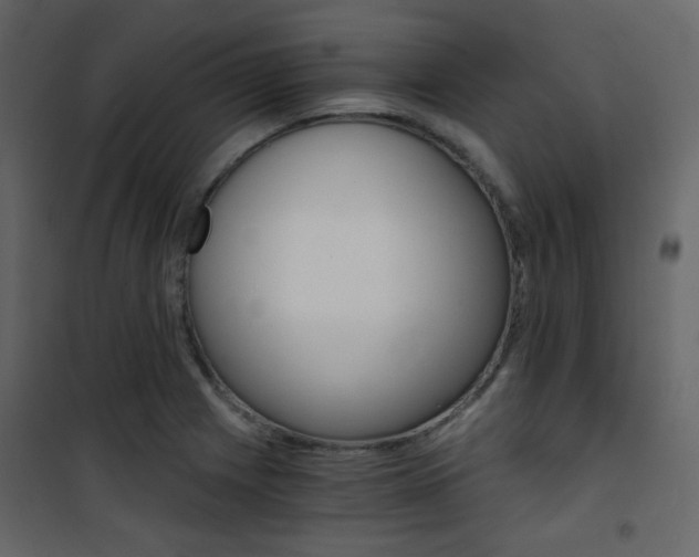 X0000101951225200807171126
